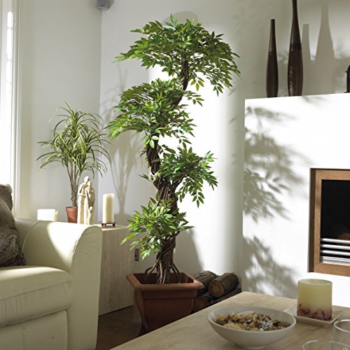 Vert Lifestyle Fruticosa Japonesa Artificial Arbol, Elegante Lujosa réplica/Planta Artificial de Interior/ 168 cm de Altura hogar o la Oficina, Plantas en los Balcones, Plantas.