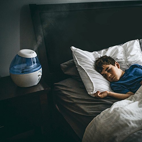 Vicks VUL520 - Humidificador ultrasónico Mini Cool Mist