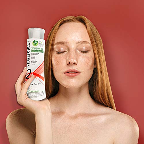 Vidalforce PACK Champu 2 + Mascarilla BIO De Argán, Karite, Jojoba De Origen Ecologico Prensado En Frio. 100% Organico Champu (Indicado Para La Caída Capilar Avanzada)