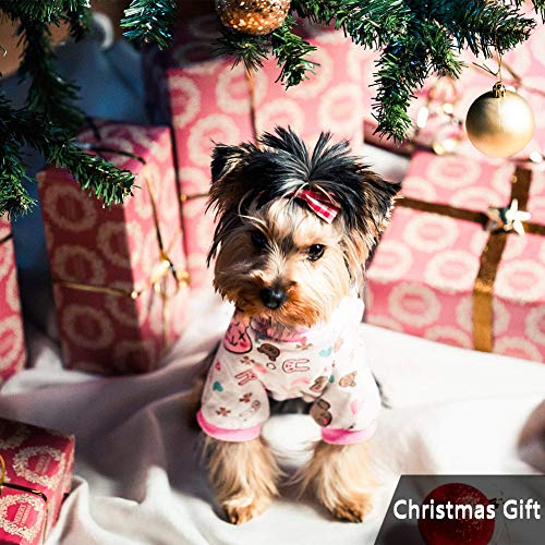 VIEWLON Juego de Juguetes para Perros, Juego de Juguetes solitarios Durable para Masticar, Mantenga a Sus Perritos saludables, Mejor para Cachorros pequeños y medianos (4pcs).