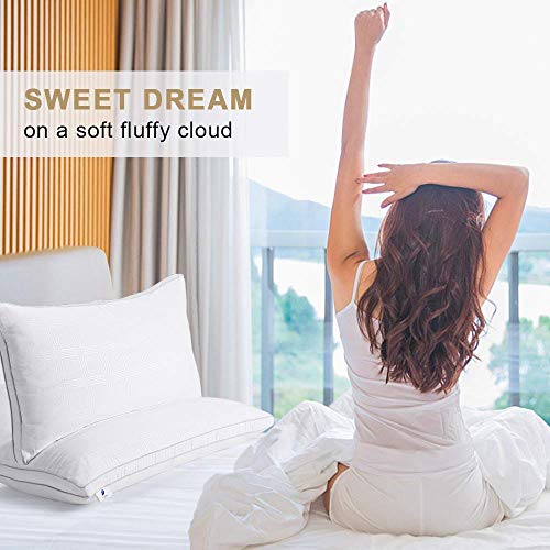 viewstar Almohadas 70x40cm, Almohadas Antiácaros e Antialérgico, Pack de 2 Almohadas Firmeza Media, 100% Microfibra, Almohadas para Camas, Pillow Certificado por Oeko-Tex