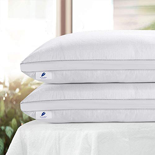 viewstar Almohadas 70x40cm, Almohadas Antiácaros e Antialérgico, Pack de 2 Almohadas Firmeza Media, 100% Microfibra, Almohadas para Camas, Pillow Certificado por Oeko-Tex