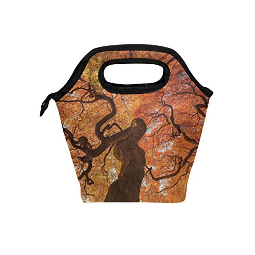 Vipsa - Bolsa de almuerzo para adultos, hombres, mujeres, niños, como el árbol, para mujeres embarazadas, impermeable, para viajes, picnic, bolsa de almuerzo con cremallera, color negro