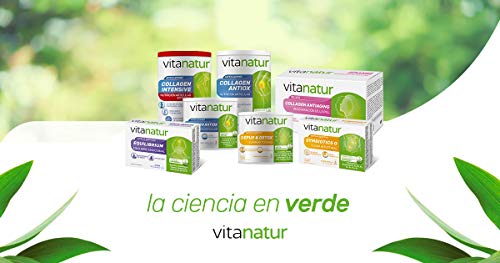 VITANATUR COLLAGEN ANTIOX 360g - Complemento alimenticio a base de colágeno Peptan, ácido hialurónico, Regenerador y antioxidante, Formato en polvos sabor frutos rojos, Incluye dosificador