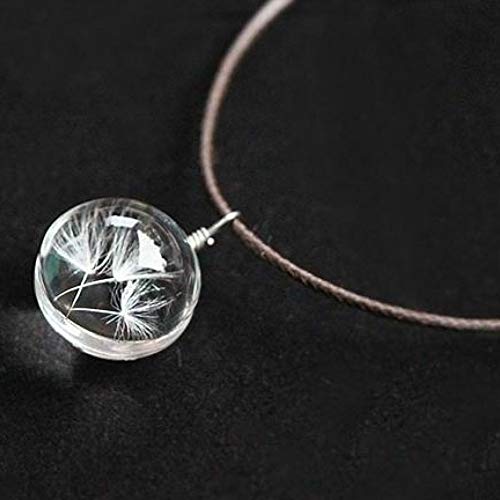 vitihipsy Collar Colgante de Botella de Deseo de Cristal Real de Semillas de Diente de león (Color: Transparente)