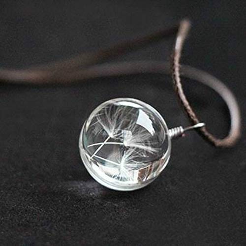 vitihipsy Collar Colgante de Botella de Deseo de Cristal Real de Semillas de Diente de león (Color: Transparente)