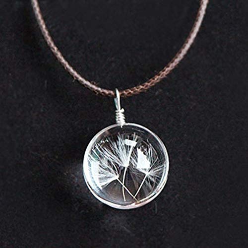 vitihipsy Collar Colgante de Botella de Deseo de Cristal Real de Semillas de Diente de león (Color: Transparente)