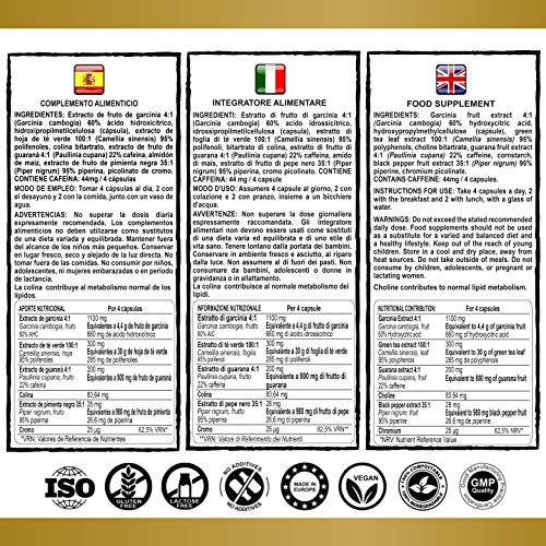 Vittalogy F-Burn Premium. Quemagrasas Potente Con Garcinia Cambogia, Té Verde Y Guaraná. Fat Burner Rápido Y Efectivo Para Adelgazar Con Efecto Termogénico. Sin Aditivos. Vegano. 120 Cápsulas