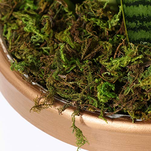VOSAREA 3 Paquetes de simulación Artificial de Musgo Verde Falso Musgo para Plantas Patio jardín decoración del hogar
