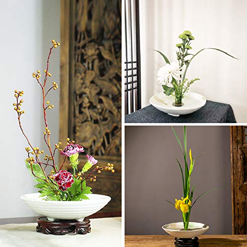 WANDIC - Rana de flores, 2 unidades, redondas, para arreglos florales, diseño de rana floral para decoración del hogar, oficina