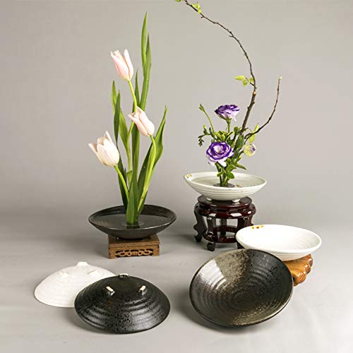 WANDIC - Rana de flores, 2 unidades, redondas, para arreglos florales, diseño de rana floral para decoración del hogar, oficina