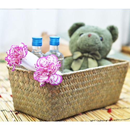 Wankd 1PCS Cestas rectangulares de mimbre natural tejidas a mano para organizar la cocina y el hogar, cesta de mimbre de ratán small Nature