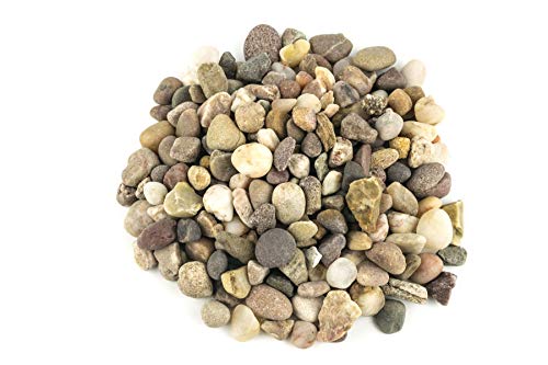 War World Scenics Mezcla de Rocas, Piedras y Grava - 180ml (Otros tamaños Disponibles) - Wargame Juego Guerra Material Base Escenario Miniatura Modelismo Diorama Envío Seguimiento