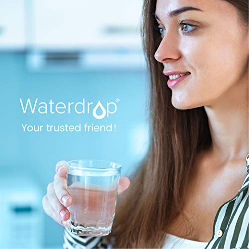 Waterdrop NSF Certificado 2.5L Jarra de Filtro de Agua de Larga duración - Diseñada con un Sistema de filtración de 7 etapas, Elimina Plomo, flúor, Cloro y más, sin BPA, Verde