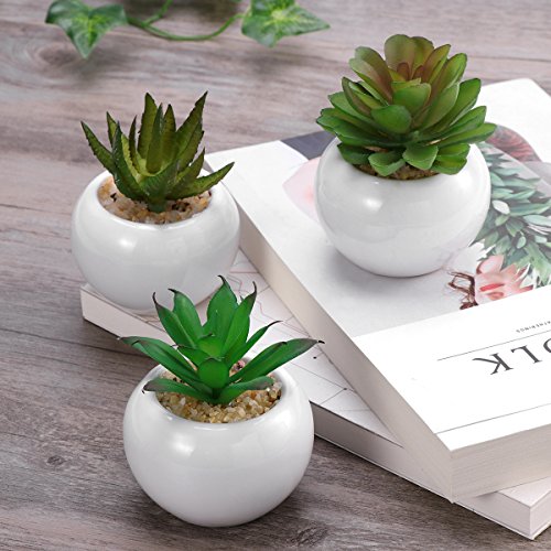 WINOMO 3pcs suculentas decorativas decorativas suculentas artificiales plantas falsas con macetas blancas