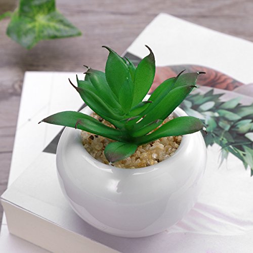 WINOMO 3pcs suculentas decorativas decorativas suculentas artificiales plantas falsas con macetas blancas