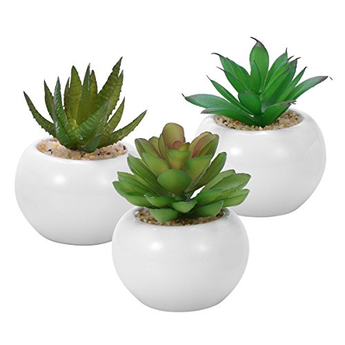 WINOMO 3pcs suculentas decorativas decorativas suculentas artificiales plantas falsas con macetas blancas