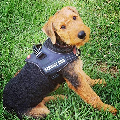 Wodondog Arnés para Chaleco de Perro Arnés de Perro Transpirable Ajustable para Perros pequeños, medianos y Grandes (M, Negro)