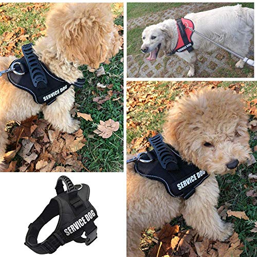 Wodondog Arnés para Chaleco de Perro Arnés de Perro Transpirable Ajustable para Perros pequeños, medianos y Grandes (M, Negro)