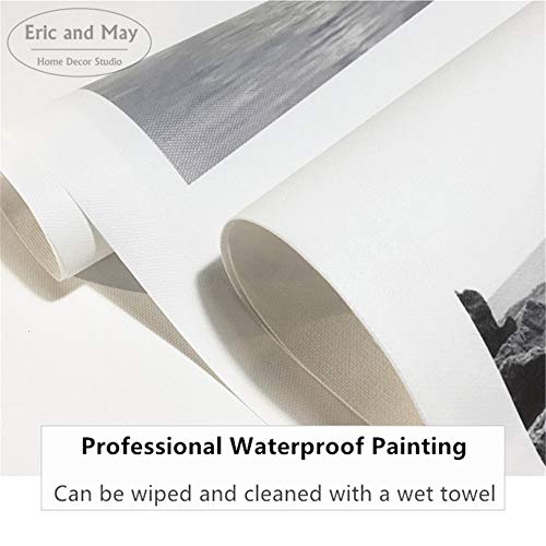 wopiaol Sin Marco Cuadros y Eclipse de Cuadros Decoracion en Blanco y Negro Carteles e Impresiones Lienzo Pintura Arte de la Pared Cuadros en la Pared Sala