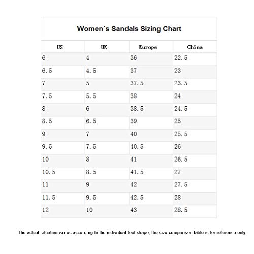 WXFF Comfort tirón de Las Mujeres los Fracasos de Verano Plana talón Antideslizante Sandalias de la Playa para bellezas (Color : Brick Red, Size : 38)