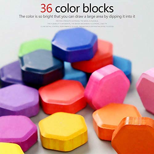 Xpassion Caja de Acuarelas, Set de Pintura de Acuarelas 36 Colores Metal Estuche Pigmento Sólido Acuarela Conjunto, Juego de Pintura de Acuarela para Niños,Principiantes,Regalo de navidad,Cumpleaños