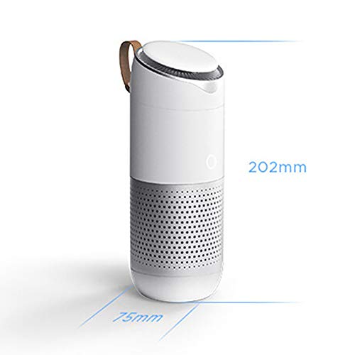 XUMI Purificador de Aire de Coche, Barra de OxíGeno Luz Led Decoración Interior de Coche Purificador de Aire Negativo Accesorios