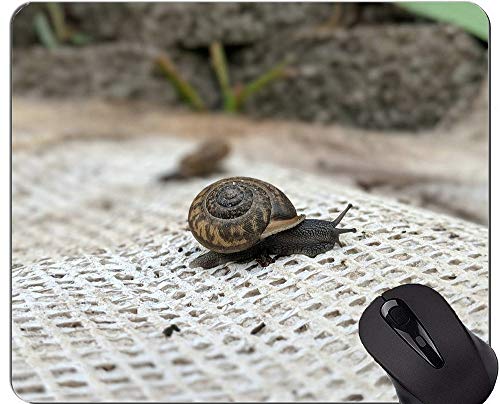 Yanteng Cojín de ratón Original de Encargo de la Serie del Leopardo, cojín de ratón de la Estatua de Buda del Caracol con el Borde Cosido