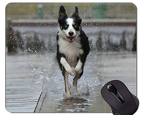 Yanteng Imprimir con Alfombrilla de ratón de Pastor alemán, Alfombrilla de Goma de Border Collie