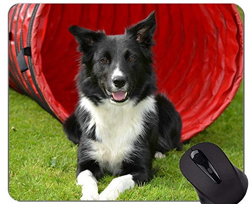 Yanteng Imprimir con Alfombrilla de ratón de Pastor alemán, Alfombrilla de Goma de Perro
