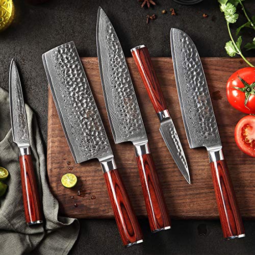 YARENH Juego de Cuchillos de Cocina 5 Piezas,Set Cuchillos Cocina Profesional de Acero Damasco Japones,Mango de Madera Pakka,Cuchillo de Chef Ultra Filoso HYZ-Serie