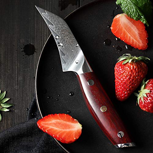 YARENH Set Cuchillos Cocina Profesional 5 Piezas - Cuchillos de Cocina de Acero Damasco Japoneses - Mango de Madera Dalbergia - Juego de Cuchillo Japones KTF-Serie