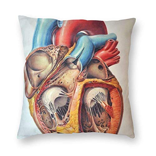 YHKC Funda de almohada decorativa para el hogar con carta de corazón de anatomía humana, funda de almohada decorativa cuadrada de felpa suave y liviana, funda de cojín de 18 x 18 pulgadas, embutidora,