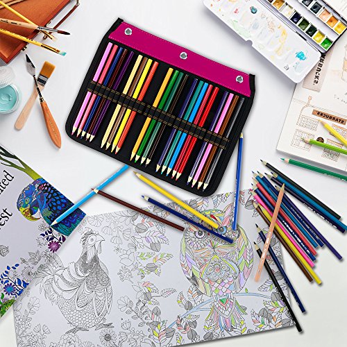 YOUSHARES 54 ranuras estuche para lápices – Archivador diseñado página compatible con 216 ranuras estuche para lápices de acuarela, bolígrafo de gel y cepillo cosmético (rojo)