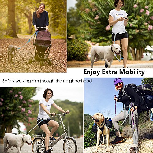YOUTHINK Correa Manos Libres Perro Set con Cinturón Elástico Bolso de Alimento Comedero Plegable Bolsas para Excrementos de Perro Correa de 140-185CM(Gris y Azul)