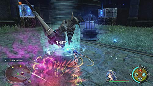 Ys VIII: Lacrimosa of Dana (Switch) - Nintendo Switch [Importación inglesa]