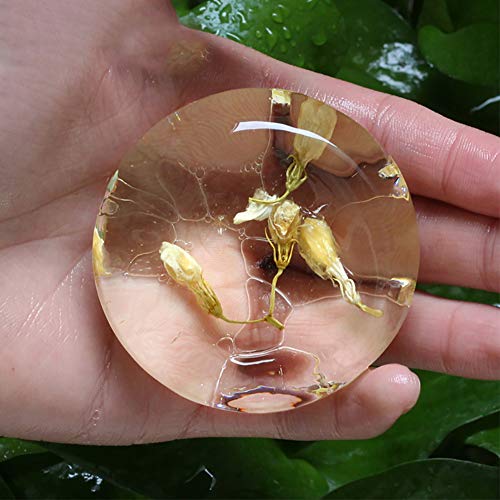 YSoutstripdu Jabón, Natural Flower PH 5.5 aminoácido Suave Hidratante Facial jabón Hecho a Mano-Daffodil