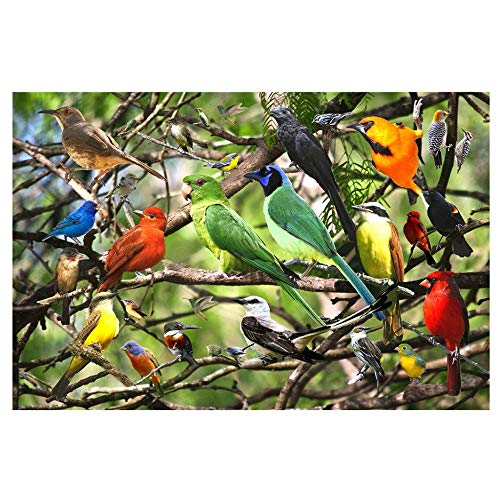 YuAn Rompecabezas De Madera De 1000 Piezas,Pájaro Colorido En La Rama, Adultos Niños Juegos De Puzzle Desafío del Cerebro,Familyfriends Interactivo Ocio Buenos Regalos De Cumpleaños,200Ps