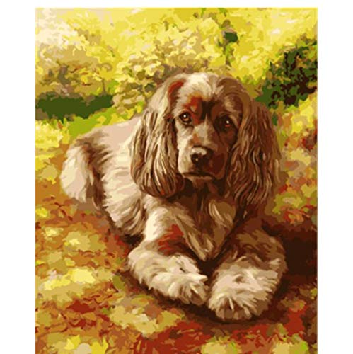 YUNYONG Pintar por Números para Adultos Y Niños Cuadros Pintura Caligrafía Animales Perro sobre Lienzo Pintura Al Óleo Decoración del Hogar 40X50Cm
