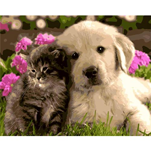 YUNYONG Pintar por Números para Adultos Y Niños Imagen Caligrafía De Pintura De Perros Y Gatos sobre Lienzo Colorear por Números 40X50Cm