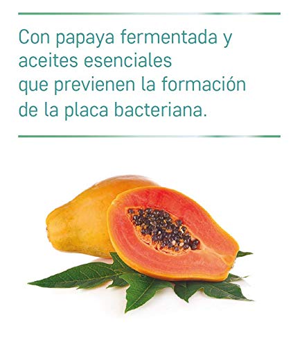 ZALAX ANTIPLACA - Pasta dental antisarro anticaries con fluor - Cuidado dental y Alta Higiene - 100 ml (1-PACK)