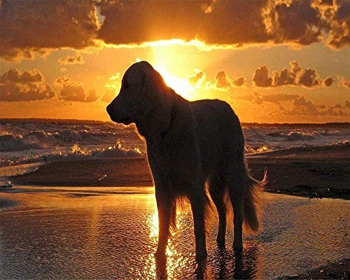 ZDWTXA Rompecabezas de Madera 1000 Piezas Rompecabezas de Madera para niños Edad Colorido océano Agua Cielo Puesta de Sol Perro clásico Adultos niños Sala de Estar Cocina decoración 50 * 75 cm