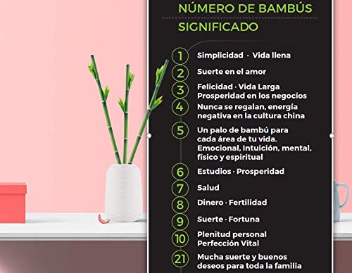 Zen Home Bambu DE LA Suerte Artificial, Plantas Artificiales Plantas Artificiales Decorativas, Planta Artificial, bambú Artificial, decoración casa, Decoracion hogar, Planta Artificial Bambu