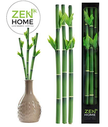 Zen Home Bambu DE LA Suerte Artificial, Plantas Artificiales Plantas Artificiales Decorativas, Planta Artificial, bambú Artificial, decoración casa, Decoracion hogar, Planta Artificial Bambu