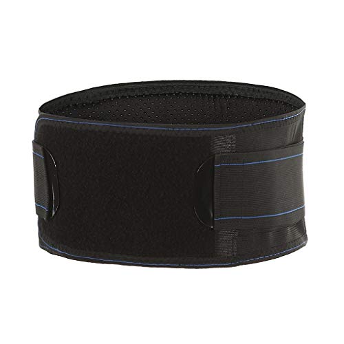 ZFF Cinturón De Apoyo Lumbar/For La Espalda, Auto-Calentamiento, Terapia Magnética, Ajustable, Mejora El Alivio De La Postura del Dolor Y La Prevención De Lesiones, For Hombres Y Mujeres (Size : L)