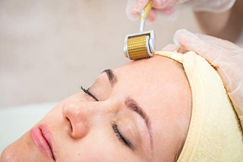 ZGTS Microneedle Titanium - Cepillo para la piel, todos los tamaños 0,20 mm, 0.25 mm, 0,30 mm, 0,50 mm, 0,75 mm, 1 mm, 1,5 mm, 2 mm, 2,5 mm