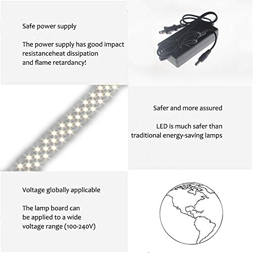 ZHOUHUAW Caja De Luz para Estudio Fotográfico, con Iluminación De Tubo Fluorescente, Portátil Adecuado para Fotografías Profesionales De Primeros Planos Y Tomas De Productos