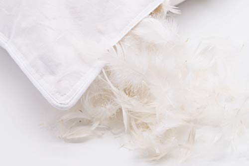 ZOLLNER Almohadón de Pluma de Ganso, 60x80 cm, Funda de algodón, Otras Medidas