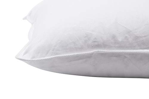 ZOLLNER Almohadón de Pluma de Ganso, 60x80 cm, Funda de algodón, Otras Medidas