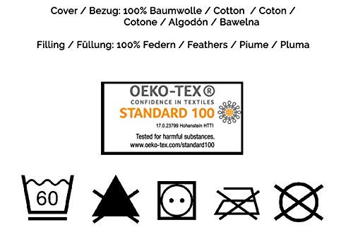 ZOLLNER Almohadón de Pluma de Ganso, 60x80 cm, Funda de algodón, Otras Medidas